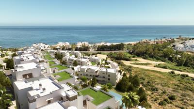 arrecife15