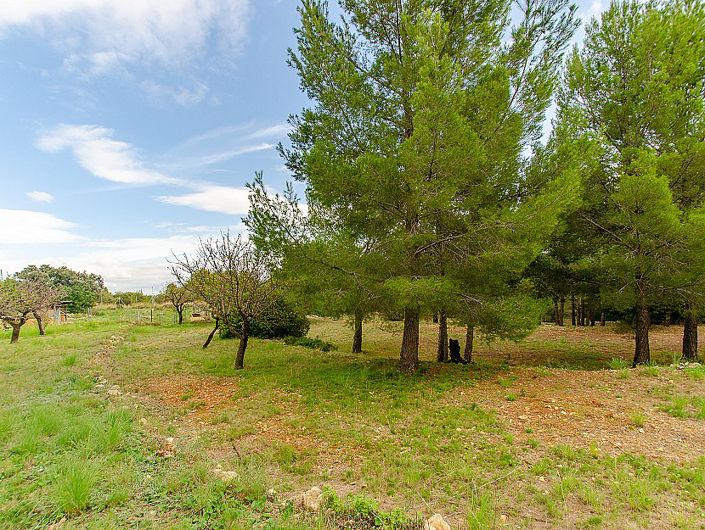 Image No.49-7 Bed Villa for sale