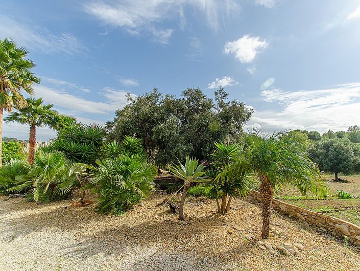 Image No.56-7 Bed Villa for sale