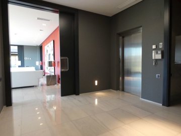 ncbdl33247680674