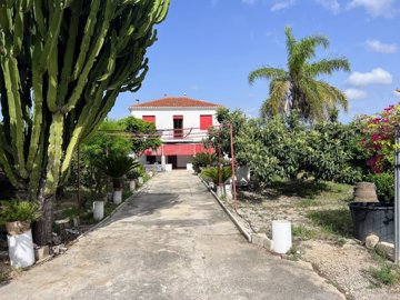 ncb37868394345