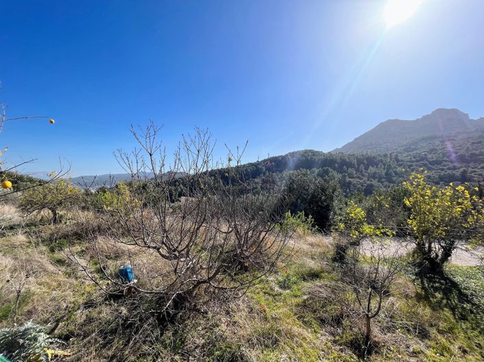 Image No.20-5 Bed Townhouse for sale