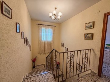 ncbx84648538788