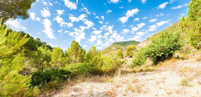 Image No.9-Villa de 3 chambres à vendre à Jalon