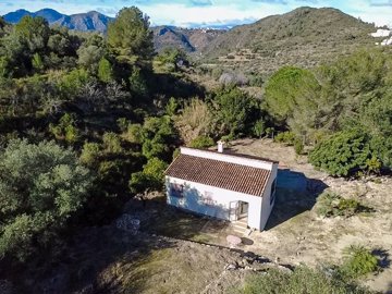 ncb85532026-02-09-10-57-26-232