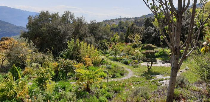 Image No.33-4 Bed House for sale