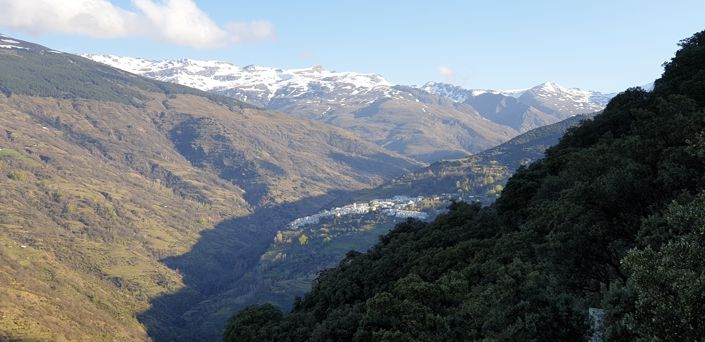 Image No.42-4 Bed House for sale