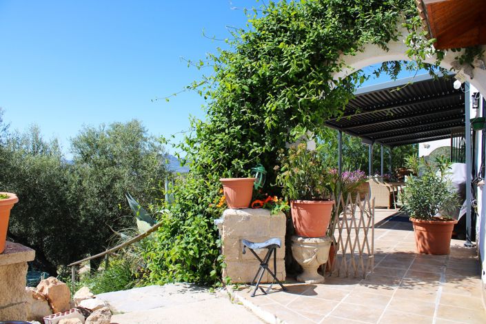 Image No.37-3 Bed Country House for sale