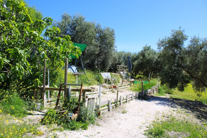 Image No.42-3 Bed Country House for sale