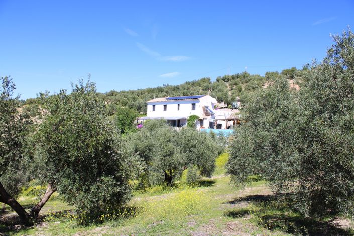 Image No.44-3 Bed Country House for sale