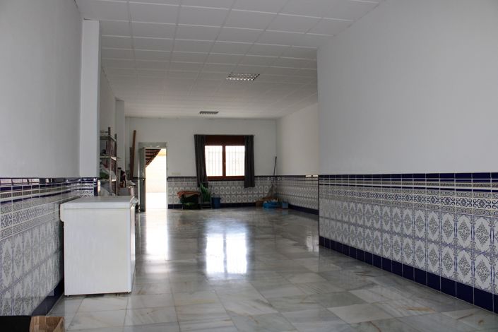 Image No.38-Villa de 4 chambres à vendre à Fuente Vaqueros