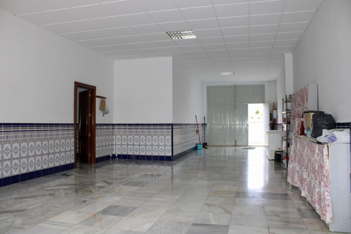 Image No.39-Villa de 4 chambres à vendre à Fuente Vaqueros