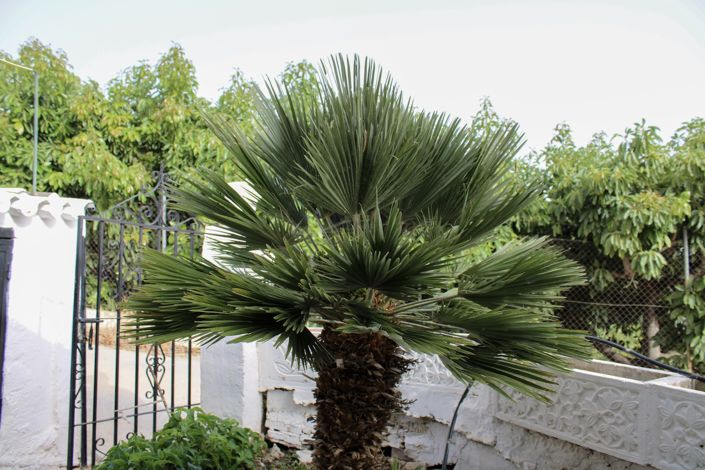 Image No.34-4 Bed Villa for sale