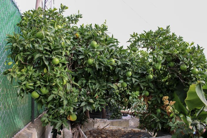 Image No.44-4 Bed Villa for sale