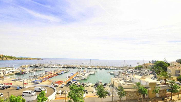 Image No.23-Maison de ville de 11 chambres à vendre à Palma de Mallorca