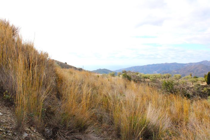 Image No.12-Plot for sale