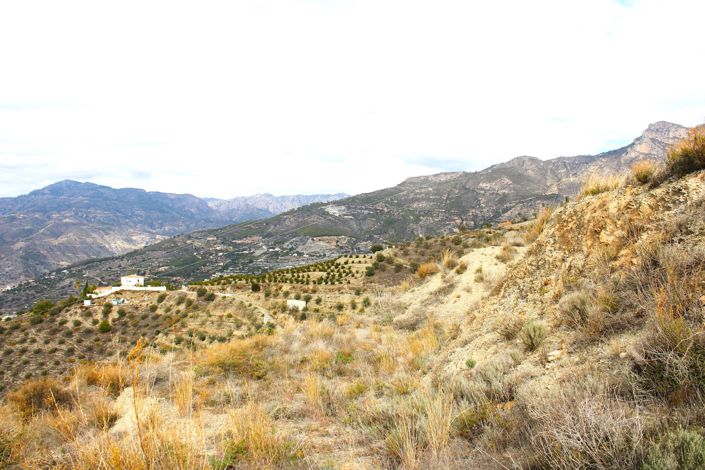 Image No.16-Plot for sale