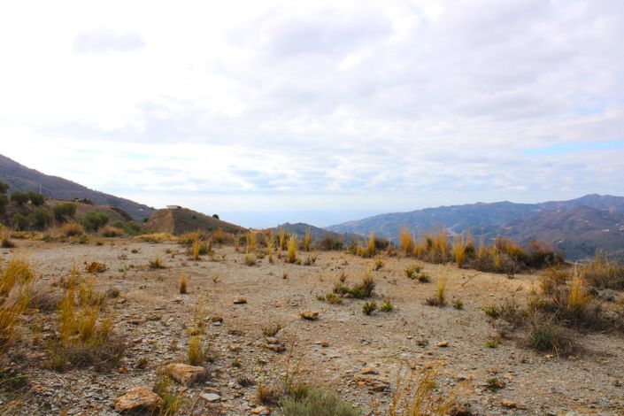 Image No.7-Plot for sale