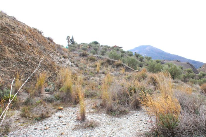 Image No.9-Plot for sale