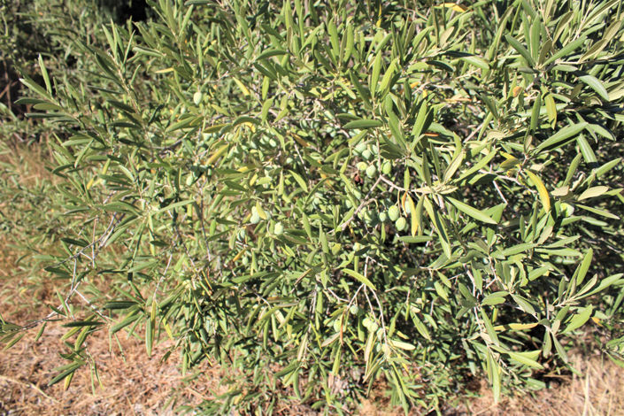 Image No.18-1 Bed Property for sale