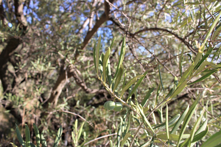 Image No.20-1 Bed Property for sale