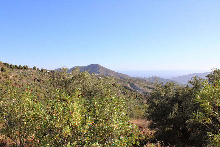 Image No.24-1 Bed Property for sale