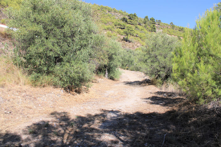 Image No.3-1 Bed Property for sale