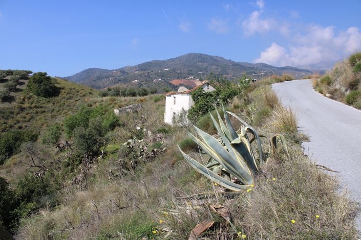 Image No.10-Plot for sale