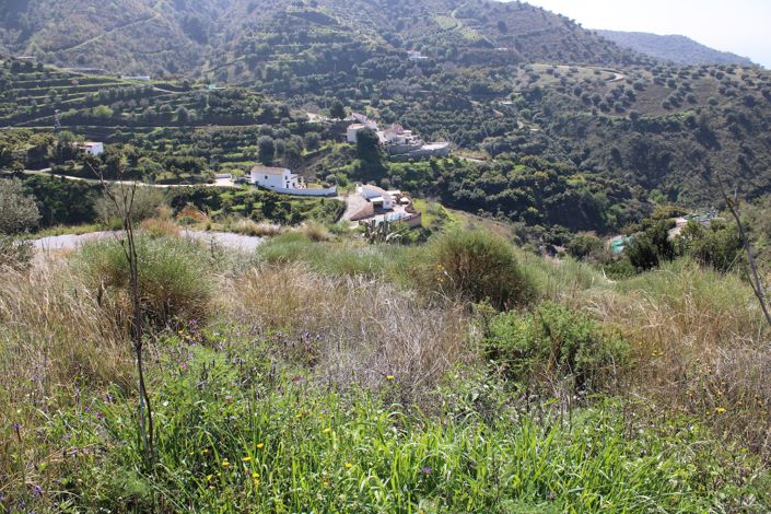 Image No.16-Plot for sale