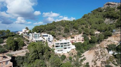 whatsapp20image202025-03-2120at20112852202832