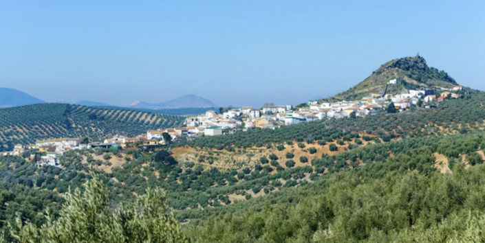 Image No.17-Terrain à vendre à Antequera