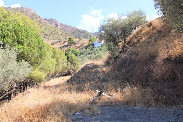 Image No.42-3 Bed House for sale