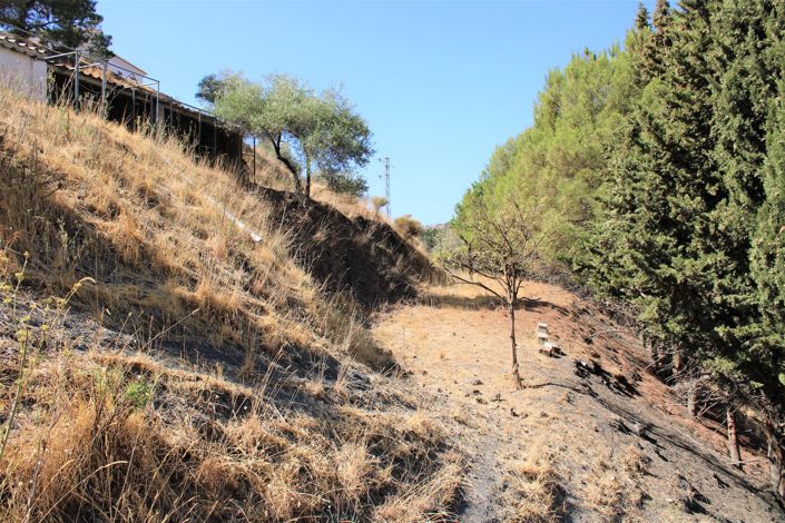 Image No.44-3 Bed House for sale