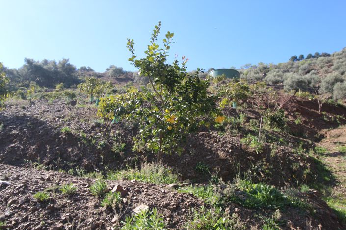 Image No.25-2 Bed House for sale