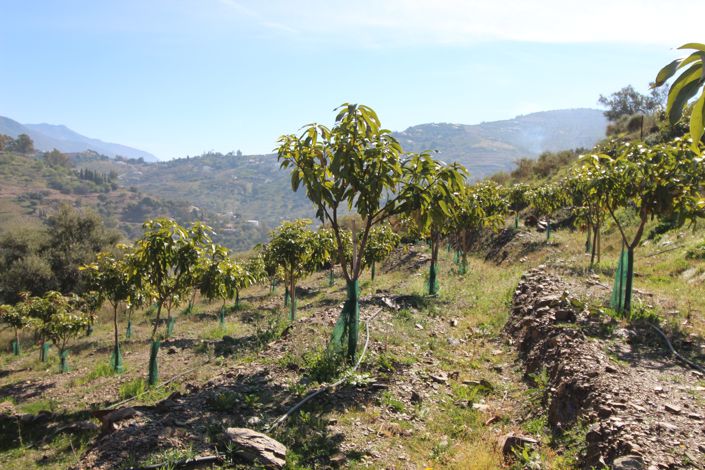 Image No.26-2 Bed House for sale