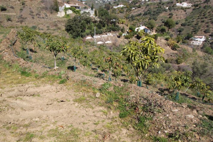 Image No.27-2 Bed House for sale