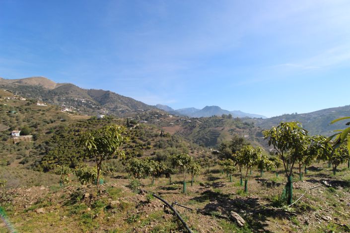 Image No.29-2 Bed House for sale