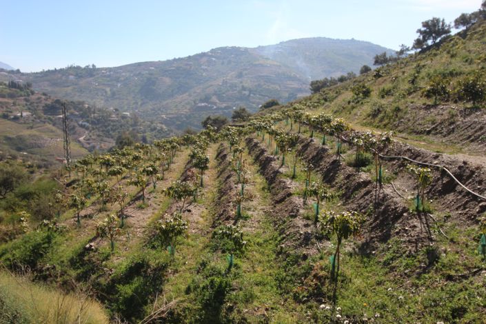 Image No.33-2 Bed House for sale