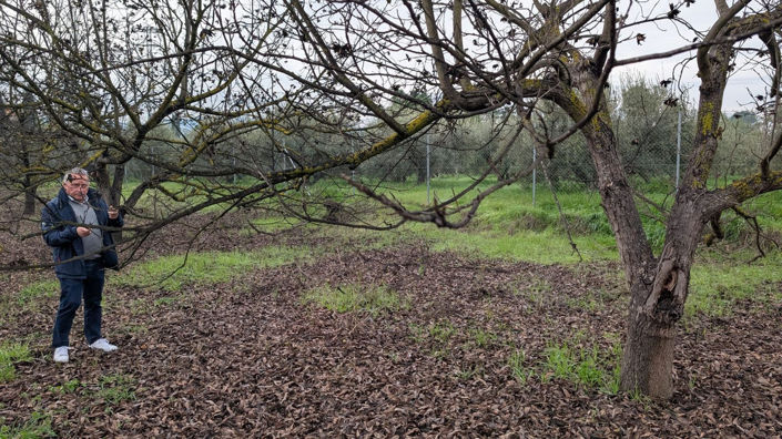 Image No.10-Plot for sale