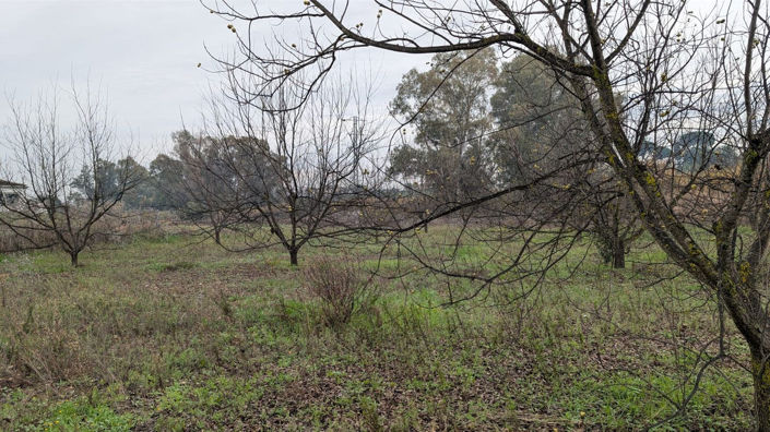 Image No.11-Plot for sale