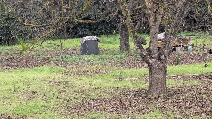 Image No.12-Plot for sale