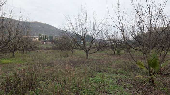 Image No.14-Plot for sale