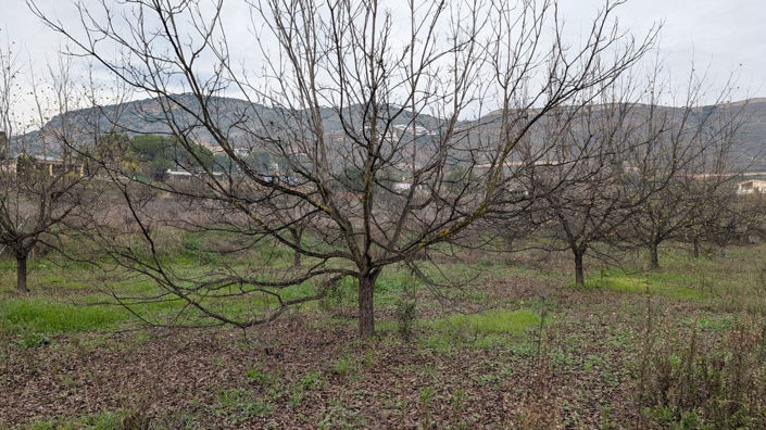 Image No.16-Plot for sale