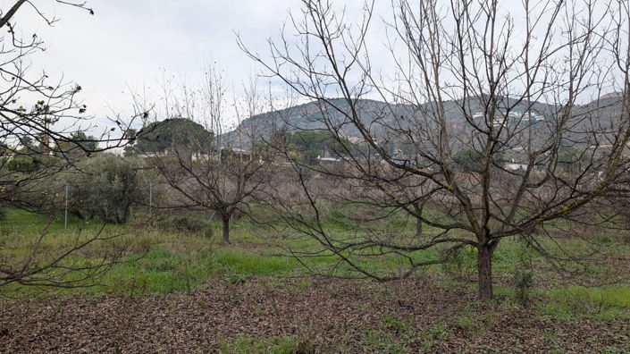 Image No.17-Plot for sale