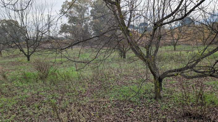 Image No.18-Plot for sale