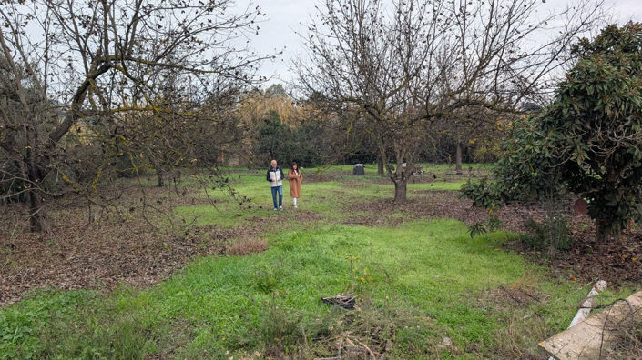 Image No.2-Plot for sale