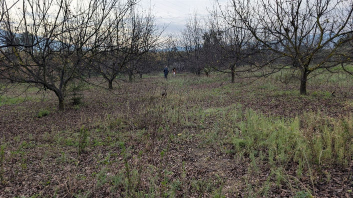 Image No.20-Plot for sale