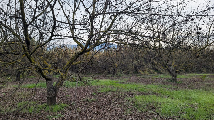 Image No.21-Plot for sale