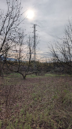 Image No.24-Plot for sale