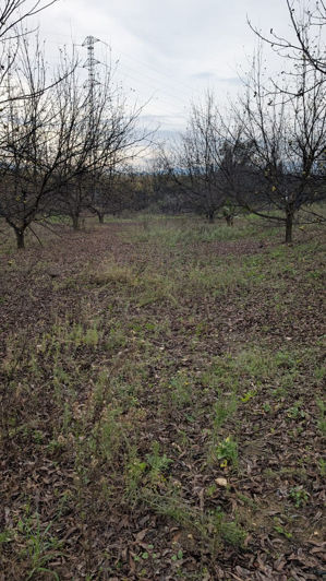 Image No.25-Plot for sale